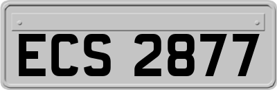ECS2877
