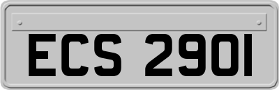 ECS2901