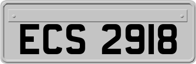 ECS2918