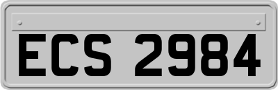ECS2984