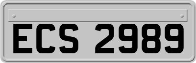 ECS2989