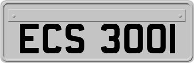 ECS3001