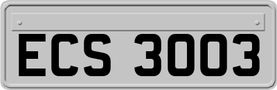 ECS3003