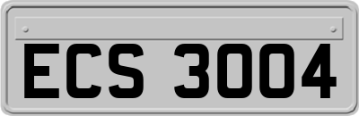 ECS3004