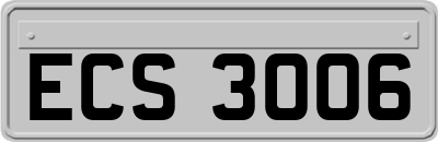 ECS3006