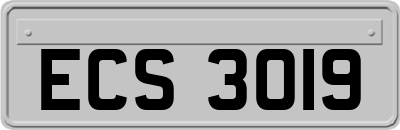 ECS3019