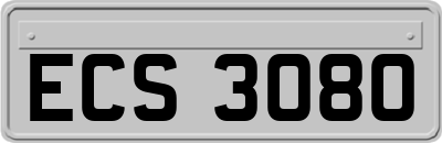 ECS3080
