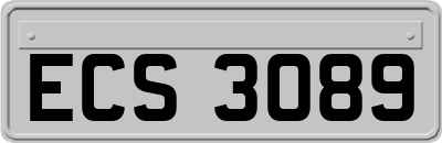 ECS3089