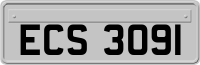 ECS3091