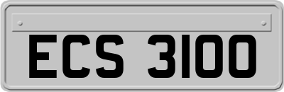 ECS3100