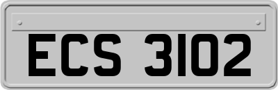 ECS3102