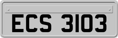 ECS3103