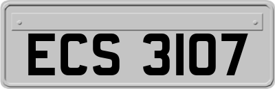 ECS3107