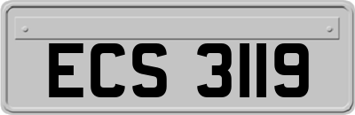 ECS3119