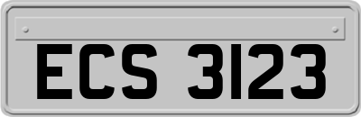 ECS3123