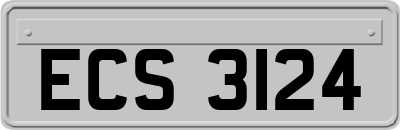 ECS3124