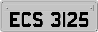 ECS3125