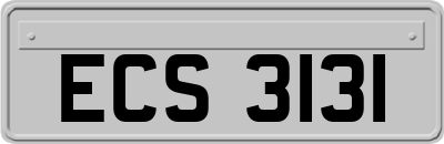 ECS3131