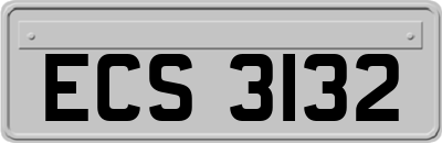 ECS3132