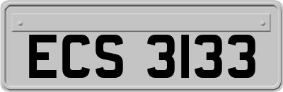 ECS3133