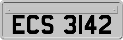 ECS3142