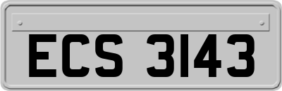ECS3143