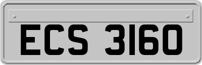 ECS3160