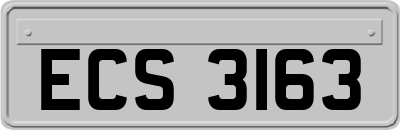 ECS3163