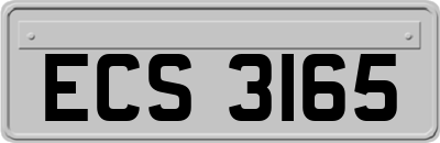 ECS3165