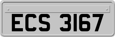 ECS3167