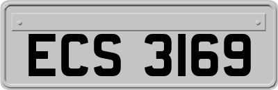 ECS3169