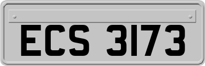 ECS3173
