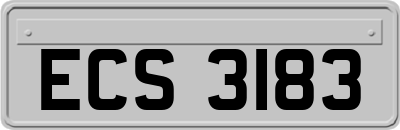 ECS3183