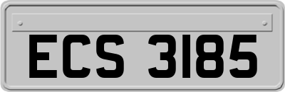 ECS3185
