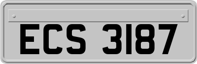 ECS3187