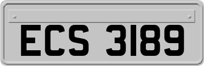 ECS3189