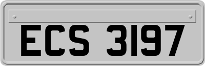 ECS3197