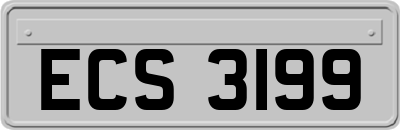 ECS3199
