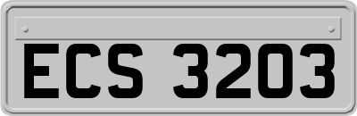 ECS3203