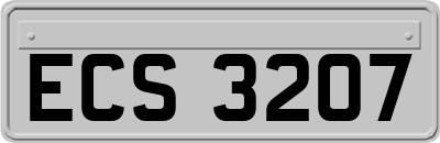 ECS3207