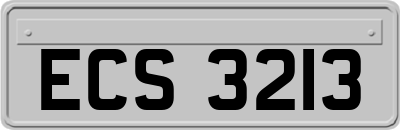 ECS3213
