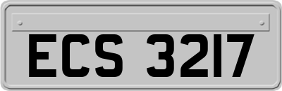 ECS3217