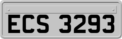 ECS3293