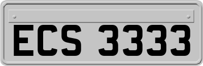 ECS3333