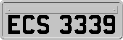ECS3339