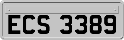ECS3389