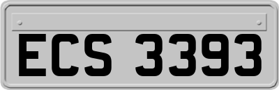 ECS3393