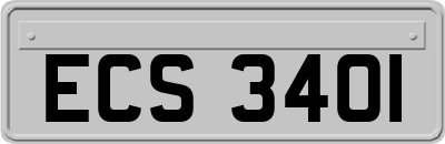 ECS3401