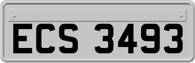 ECS3493