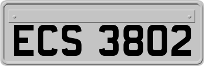 ECS3802